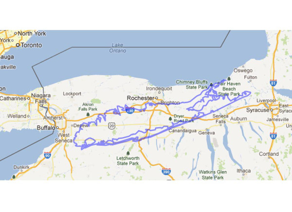 LongIslandMaps_0003_Layer 40