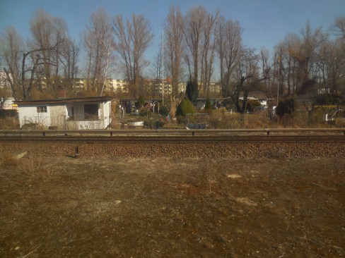 DSCN1799
