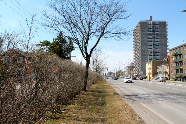 The fence aligning Boulevard de l'Acadie, with the Town of Mont-Royal on the left and Parc-Extension on the right
