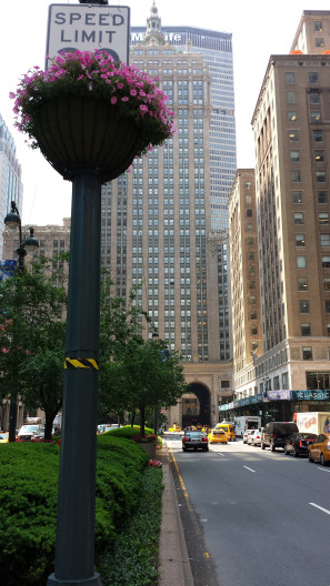 20140603_113139