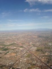 phoenix2